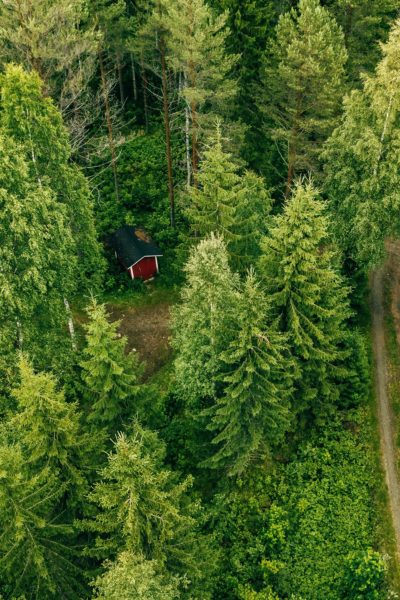 Aerial view of the road through the spruce forest. red cabin in the forest in rural Finland